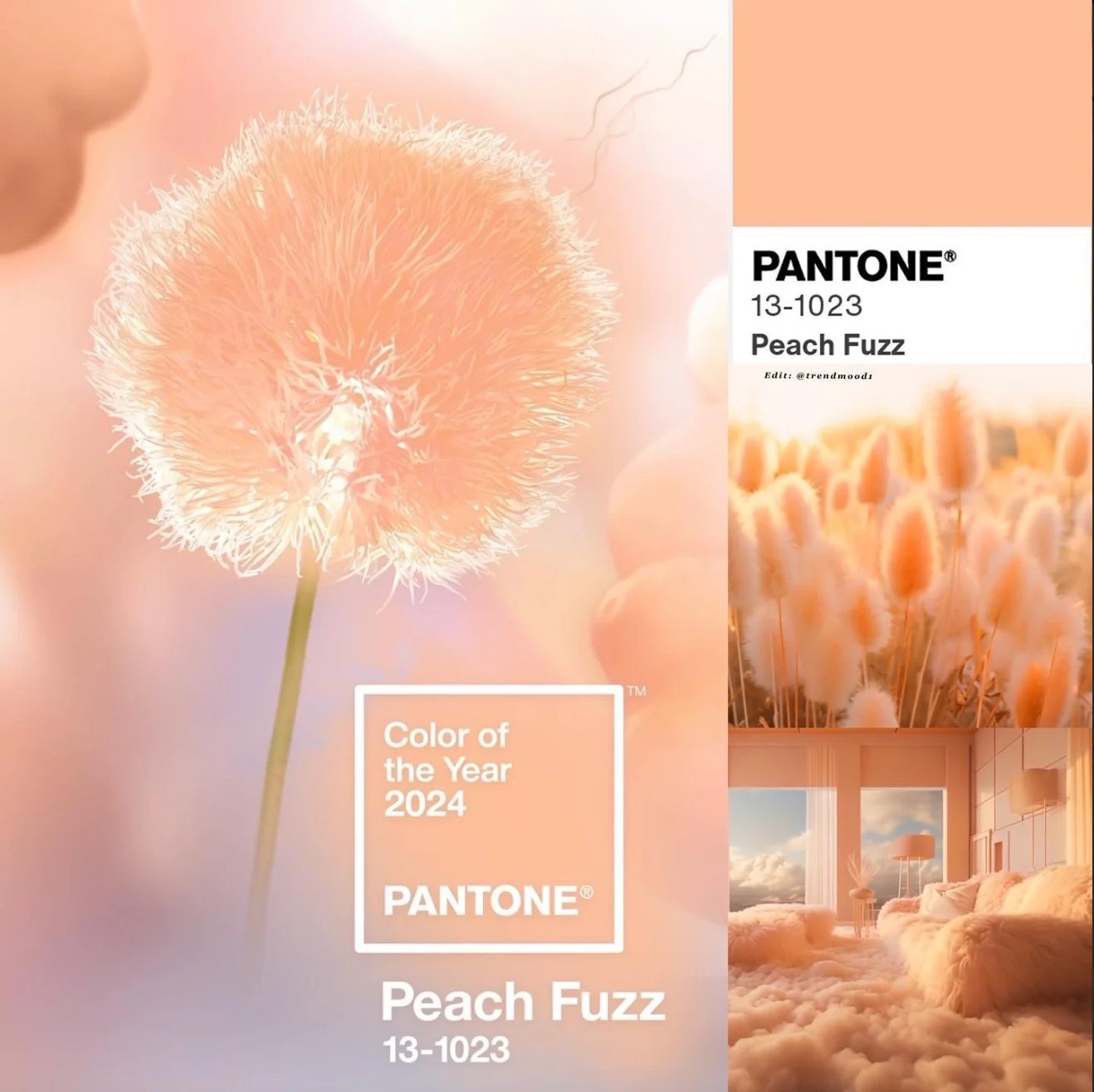 The Property Centre 2024 Colour Trends Pantone Peach Fuzz