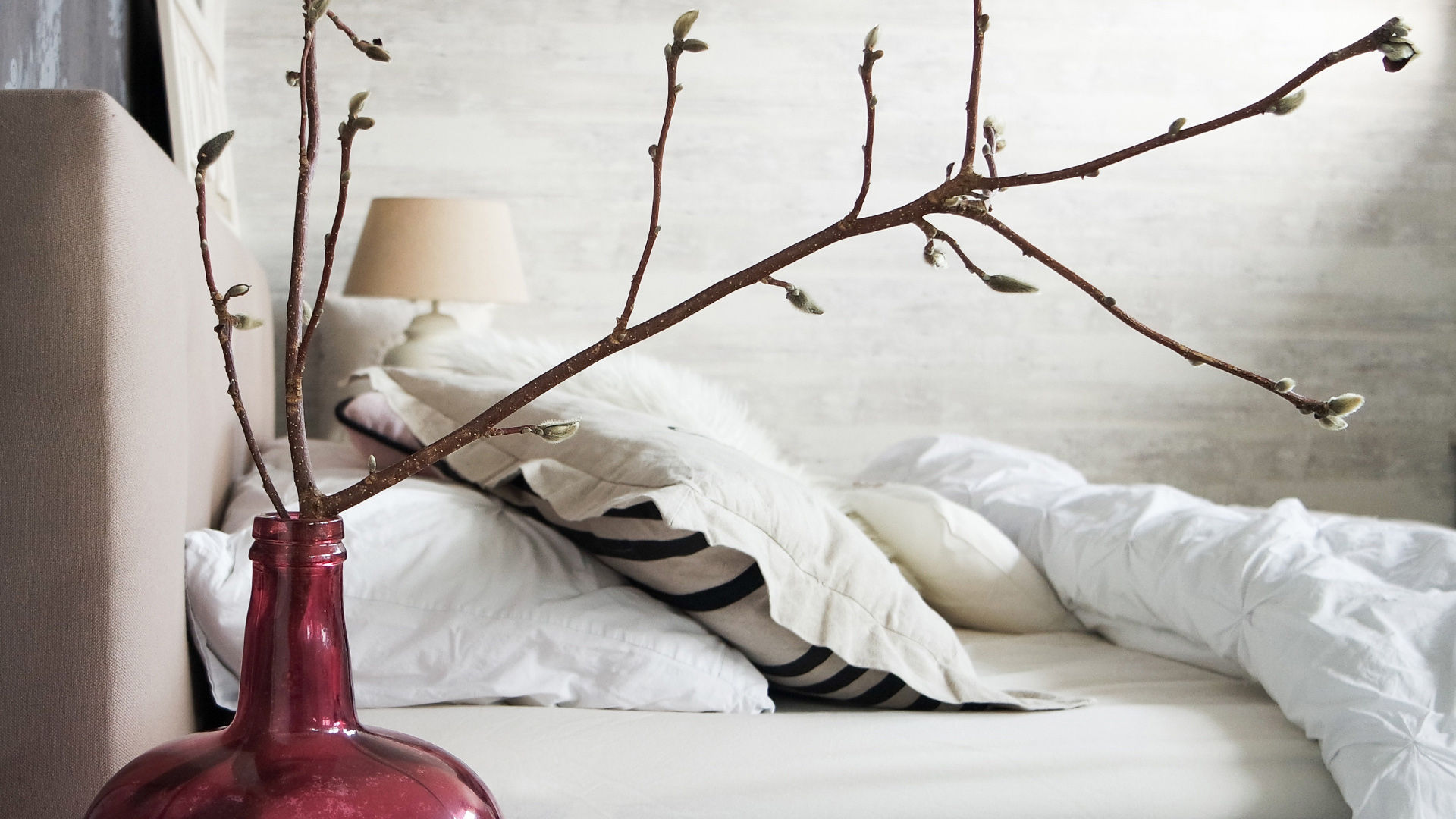 cozy bedroom with natural light