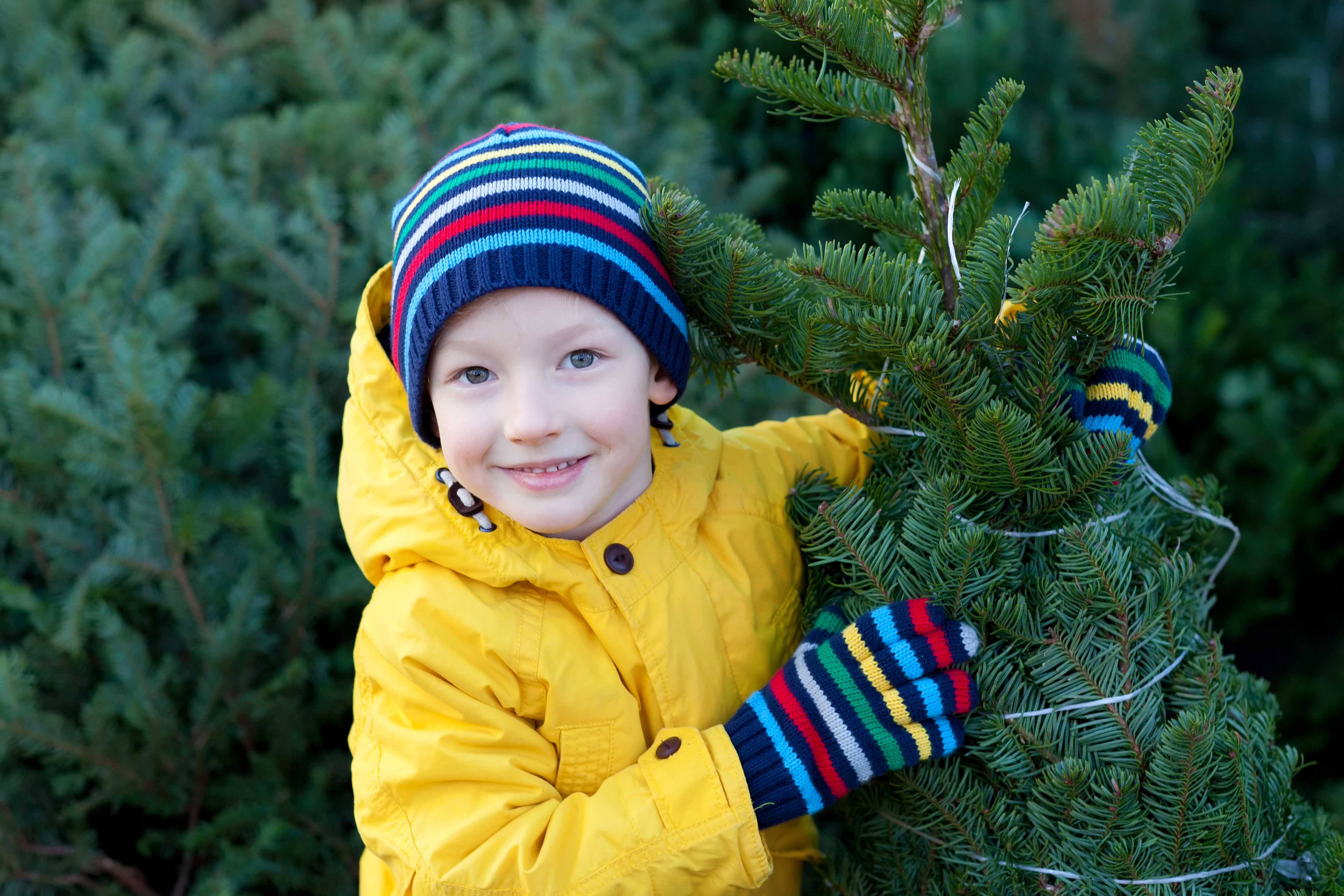 small boy with christmas tree